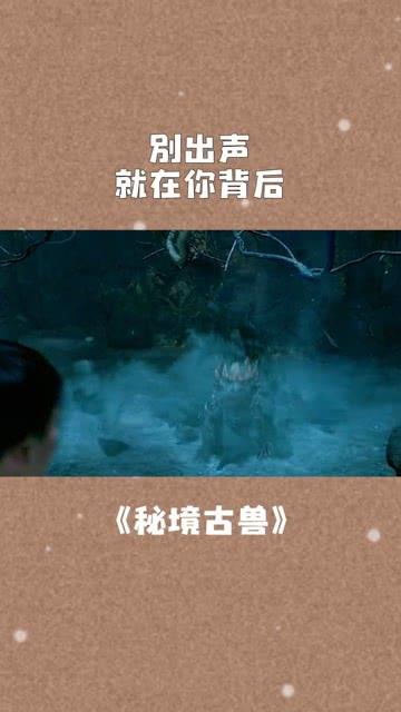 维京人之战